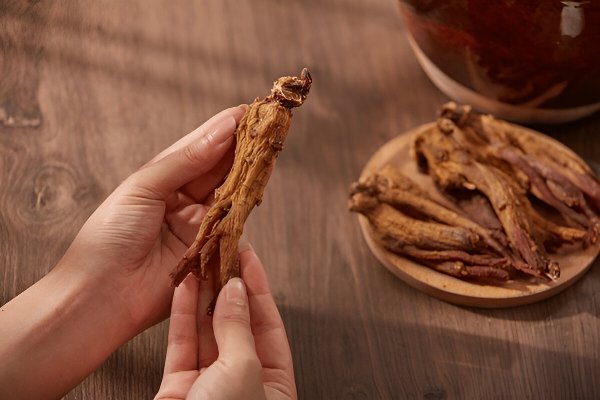 Segudang Manfaat Ginseng Merah. Bisa Tunda Ejakulasi? [Waktu Baca 3 Menit]